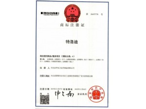 资质